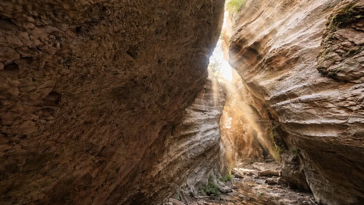 Wąwóz Avakas na Cyprze – wysokie ściany skalne i trasa trekkingowa na półwyspie Akamas