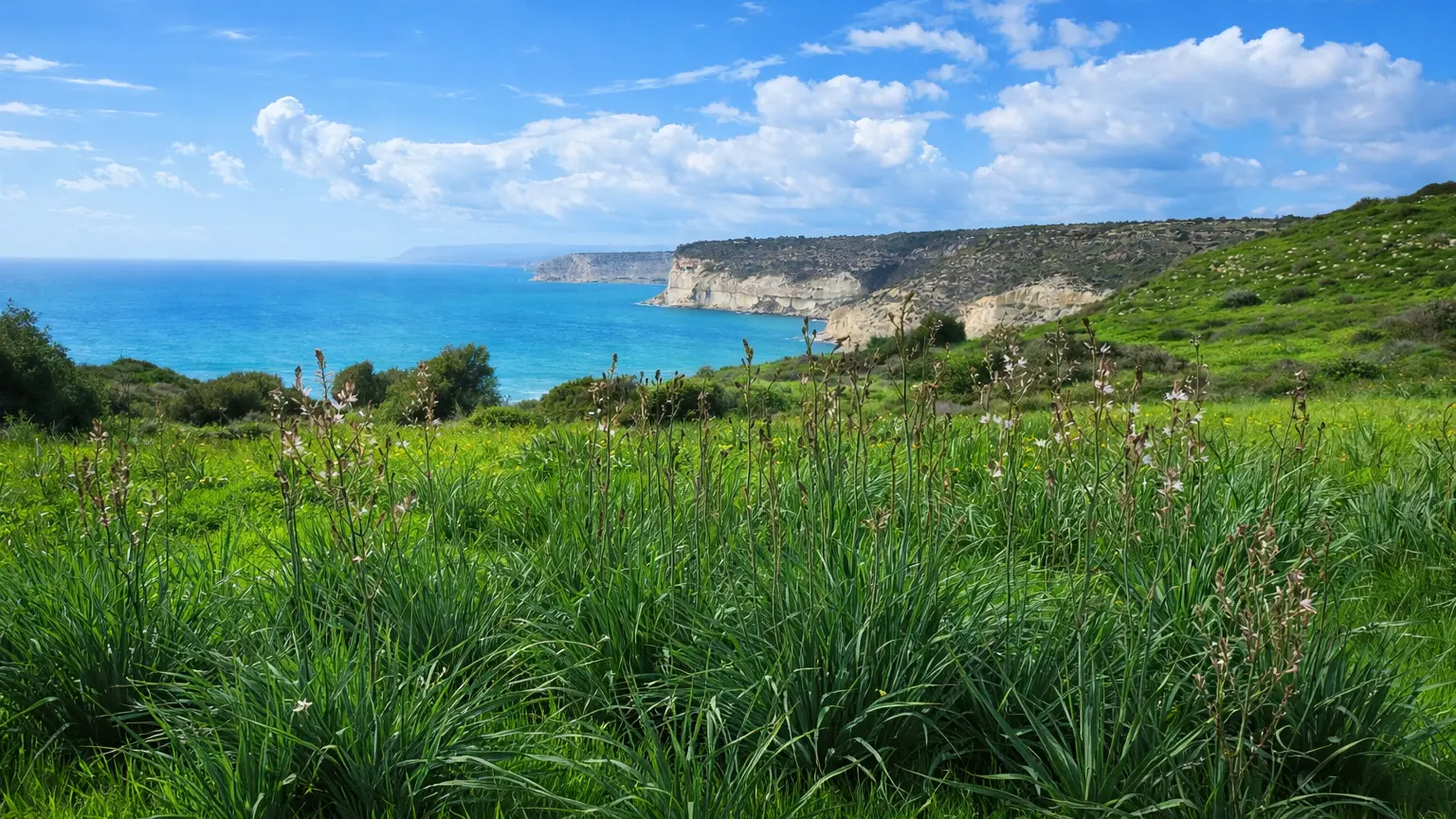 Zielone wzgórza Kourion z widokiem na zatokę Episkopi w lutym – krajobraz Cypru poza sezonem